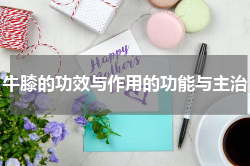 牛膝的功效与作用的功能与主治