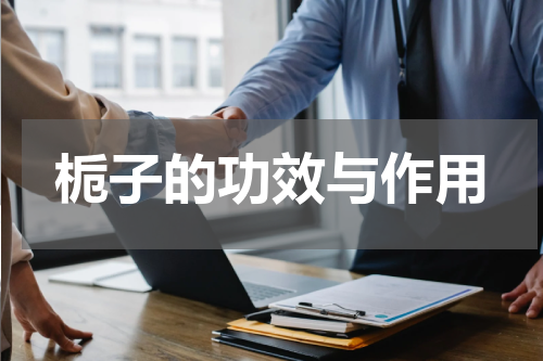 栀子的功效与作用