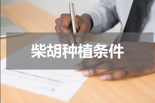 柴胡种植条件