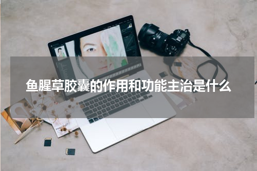 鱼腥草胶囊的作用和功能主治是什么