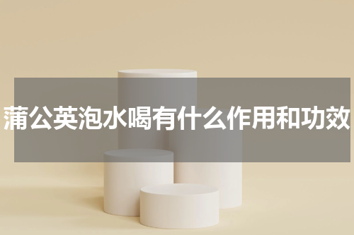 蒲公英泡水喝有什么作用和功效