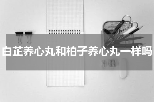 白芷养心丸和柏子养心丸一样吗