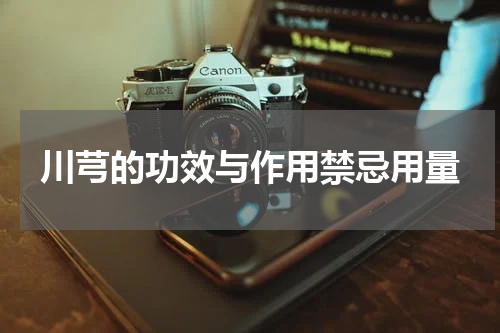 川芎的功效与作用禁忌用量