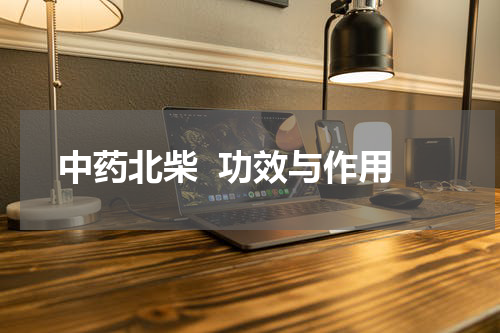 中药北柴  功效与作用