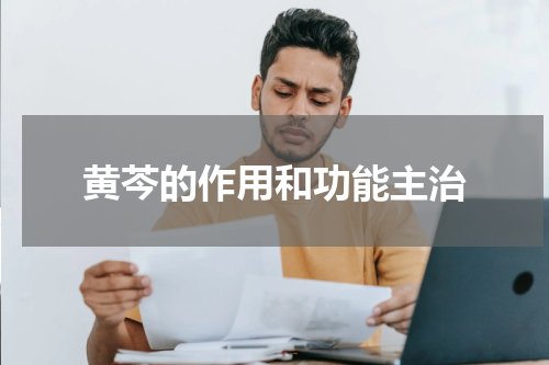 黄芩的作用和功能主治