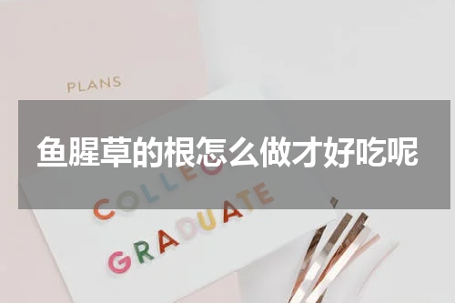 鱼腥草的根怎么做才好吃呢