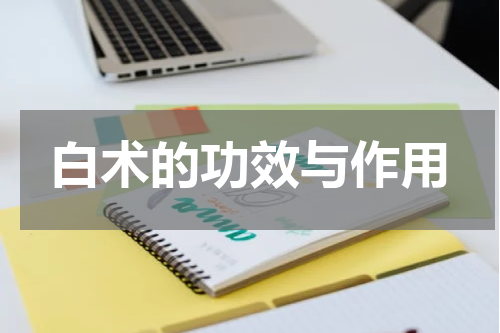 白术的功效与作用