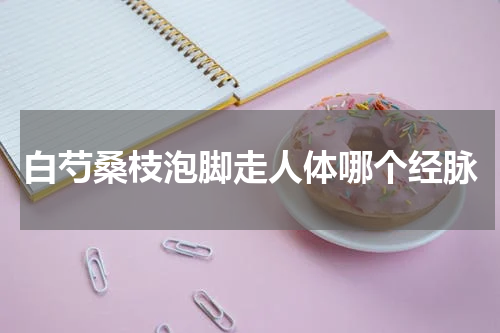 白芍桑枝泡脚走人体哪个经脉