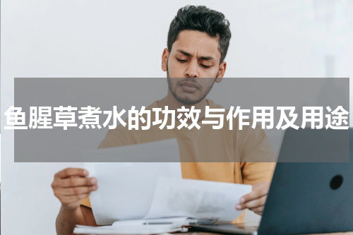 鱼腥草煮水的功效与作用及用途