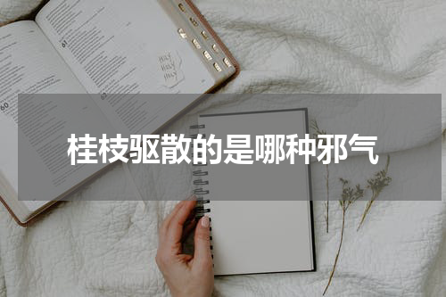 桂枝驱散的是哪种邪气