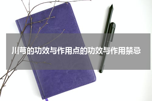 川芎的功效与作用点的功效与作用禁忌