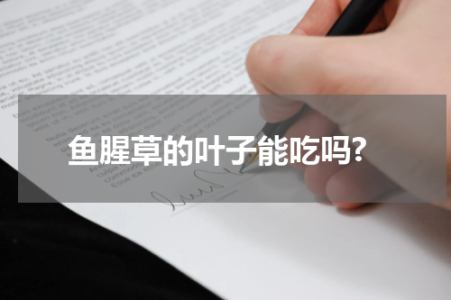 鱼腥草的叶子能吃吗?