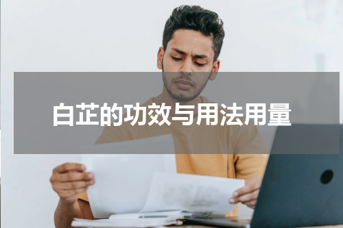 白芷的功效与用法用量