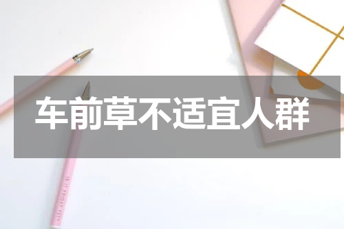 车前草不适宜人群