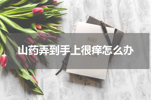 山药弄到手上很痒怎么办
