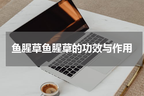 鱼腥草鱼腥草的功效与作用