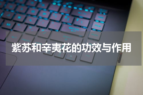 紫苏和辛夷花的功效与作用