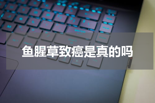鱼腥草致癌是真的吗