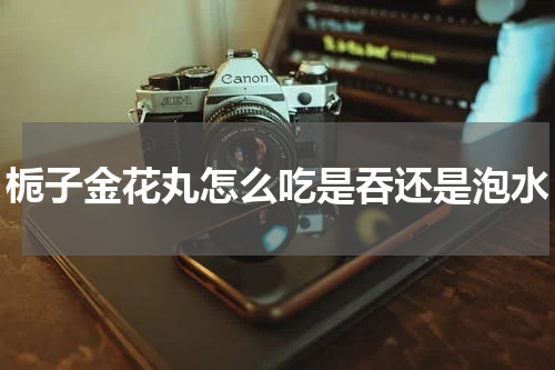 栀子金花丸怎么吃是吞还是泡水
