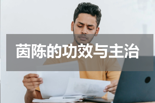 茵陈的功效与主治