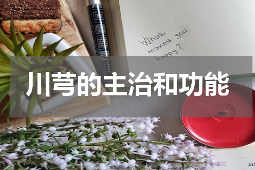 川芎的主治和功能