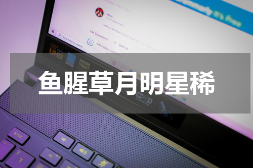 鱼腥草月明星稀