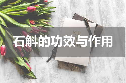 石斛的功效与作用