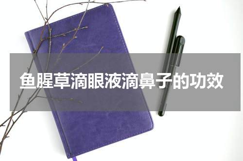 鱼腥草滴眼液滴鼻子的功效