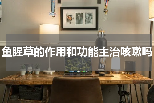 鱼腥草的作用和功能主治咳嗽吗