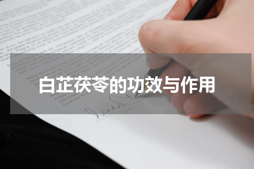 白芷茯苓的功效与作用
