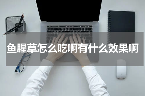 鱼腥草怎么吃啊有什么效果啊