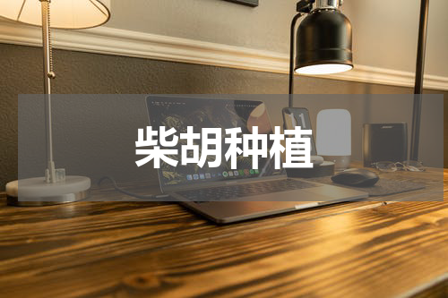 柴胡种植