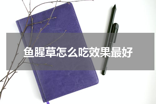 鱼腥草怎么吃效果最好