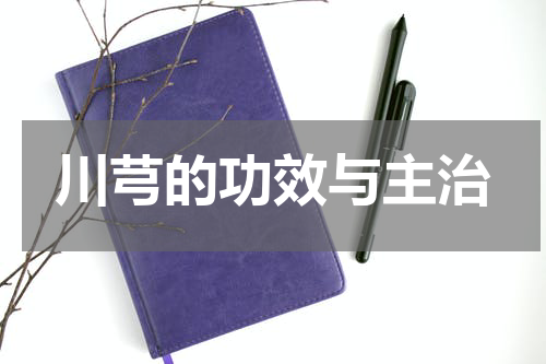 川芎的功效与主治