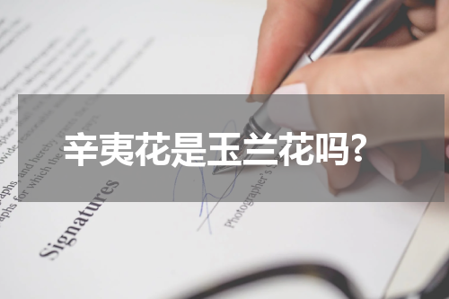 辛夷花是玉兰花吗?