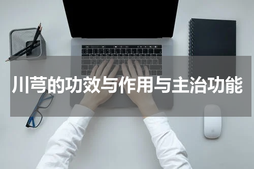 川芎的功效与作用与主治功能
