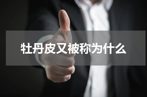 牡丹皮又被称为什么