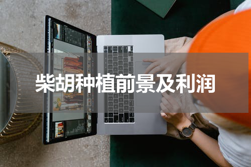 柴胡种植前景及利润