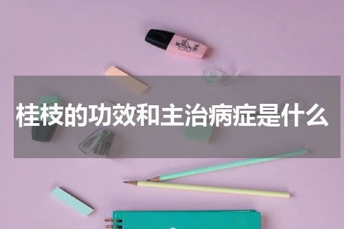 桂枝的功效和主治病症是什么