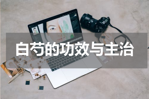 白芍的功效与主治