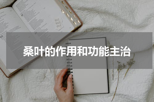 桑叶的作用和功能主治