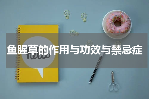 鱼腥草的作用与功效与禁忌症
