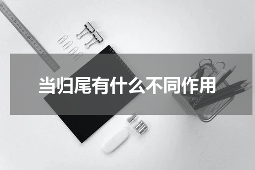 当归尾有什么不同作用