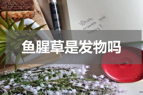 鱼腥草是发物吗