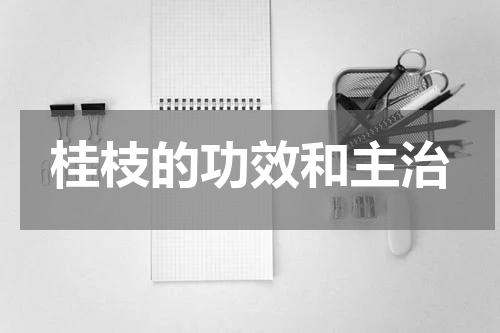 桂枝的功效和主治