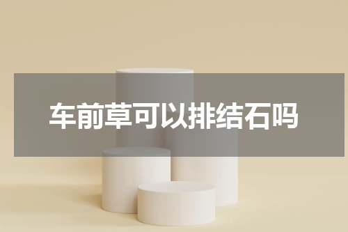 车前草可以排结石吗