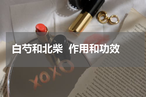 白芍和北柴  作用和功效