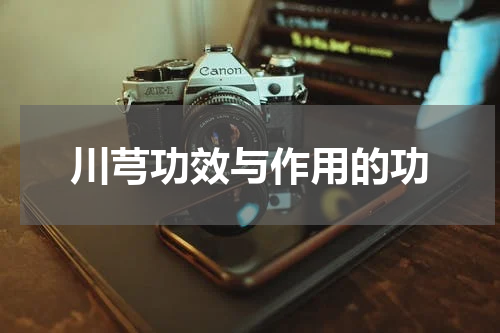 川芎功效与作用的功