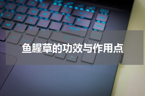 鱼腥草的功效与作用点
