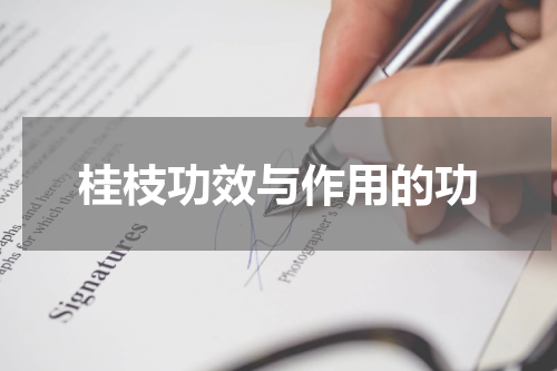 桂枝功效与作用的功